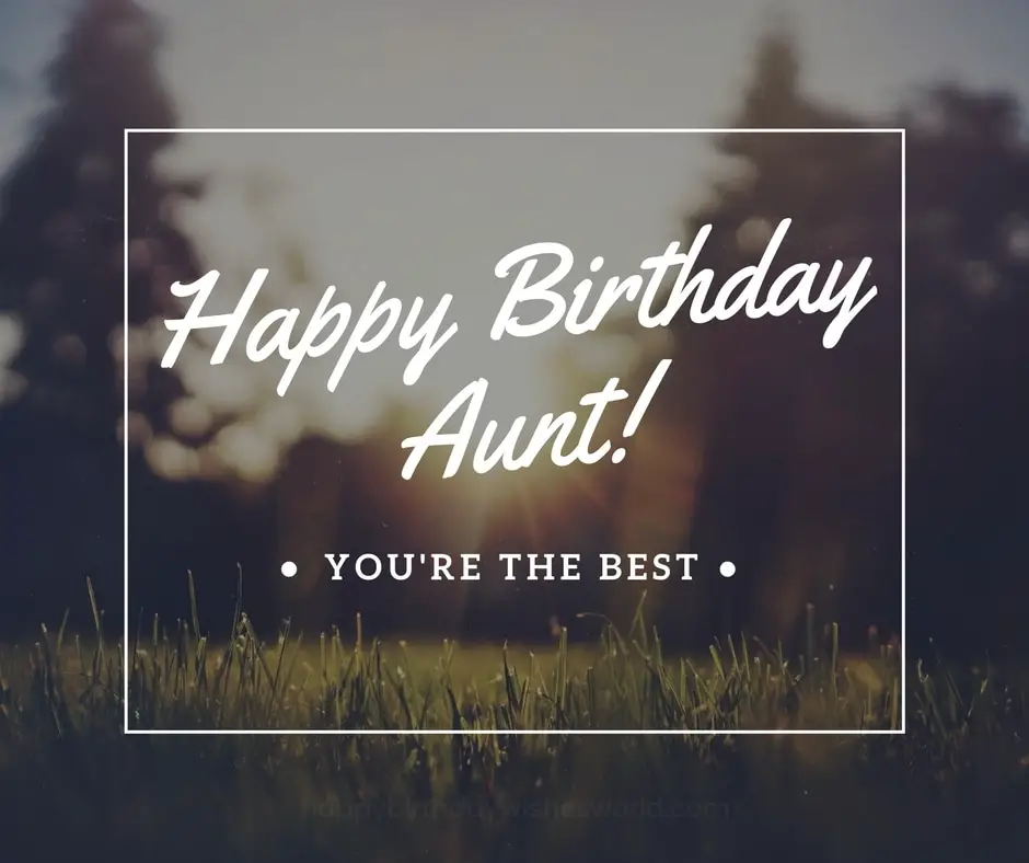 Happy birthday aunt you're the best