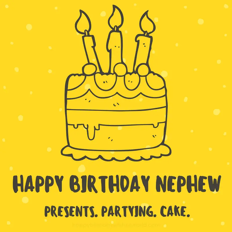 Happy birthday nephew presents partying and cake