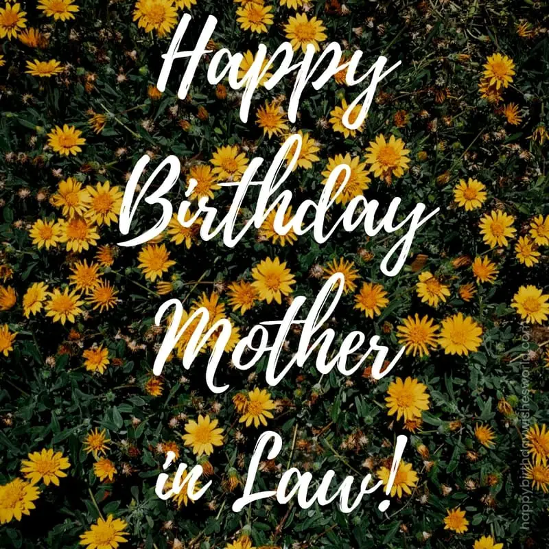 Happy birthday mother-in-law